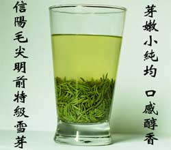 ���ë�����ʲô��